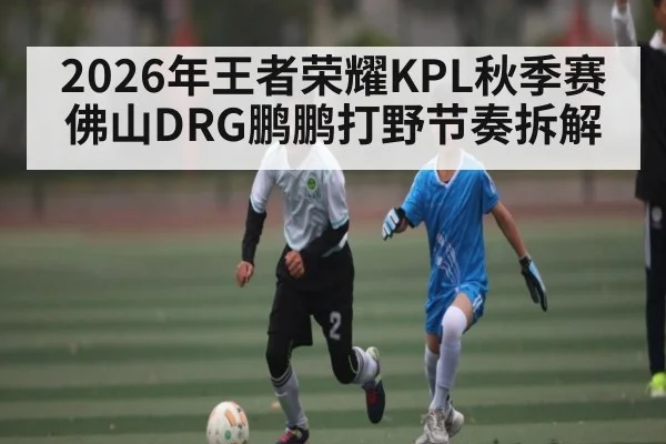 2026年王者荣耀KPL秋季赛佛山DRG鹏鹏打野节奏拆解
